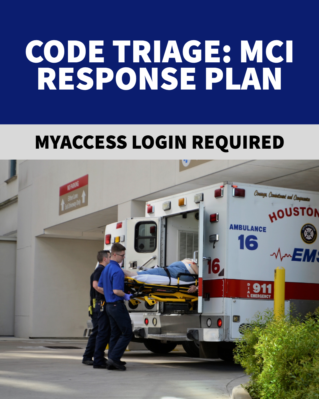Code Triage Response Plan